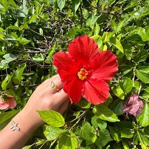 Meet your Posher, Elina